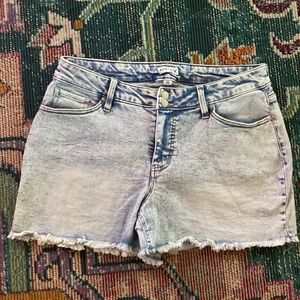 Ava and Viv 16W jean shorts